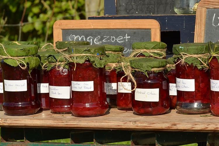बिजनेस juice and jam business idea for farmers