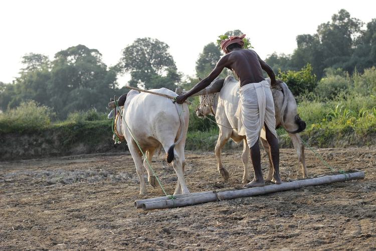 किसानों-बागवानों