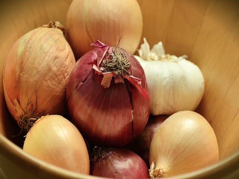 onion seeds प्याज के बीज
