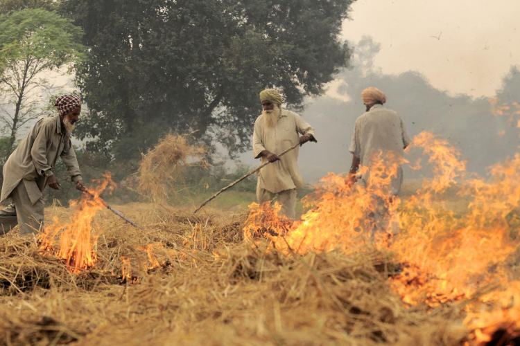 पराली Parali Burning