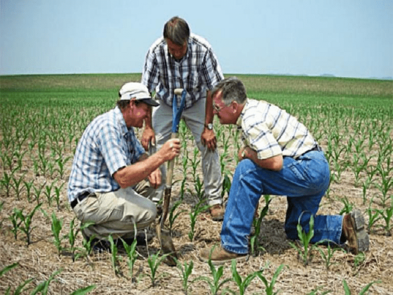 Agriculture Sector Jobs