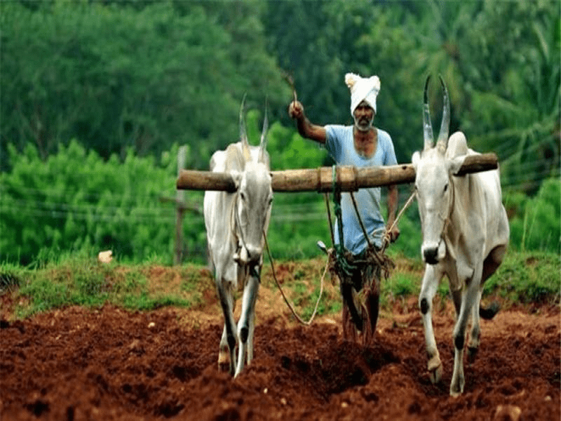 Better Life Farming