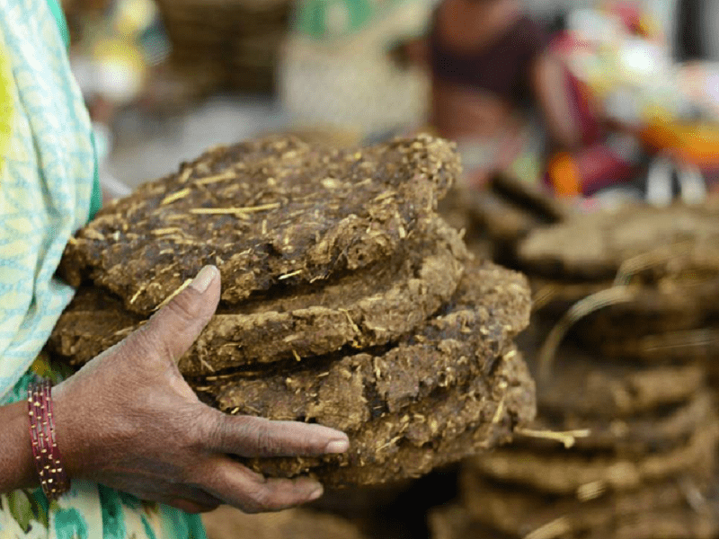 Cow Dung पेपर बैग