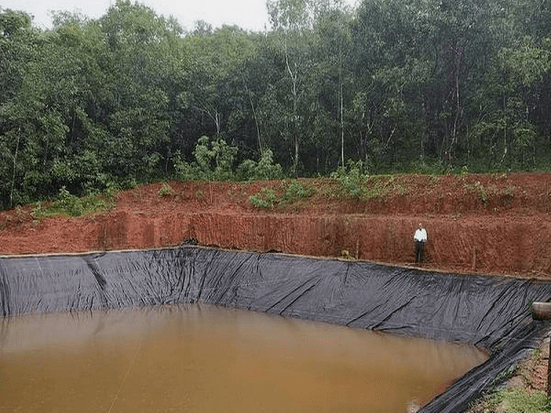 मछली पालन Farm Pond