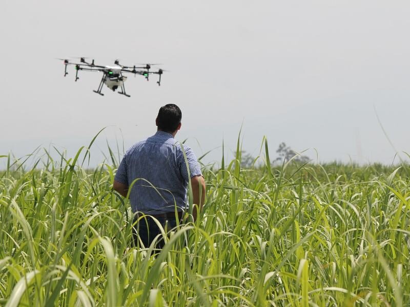 drone approval in agriculture sector