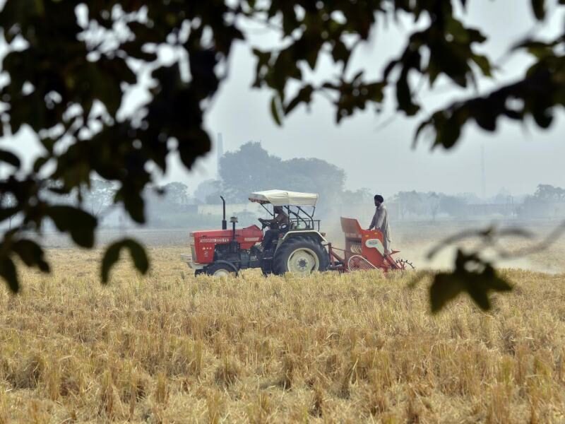 farmers in field khet