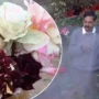 gulab ki kheti kaise kare rose plant care tips in hindi