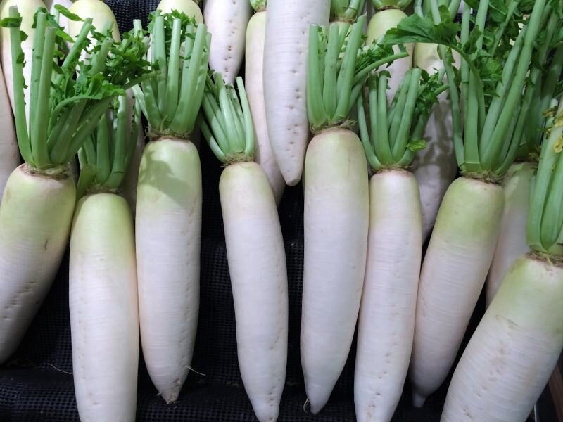 मूली के पत्ते health benefits of white radish in hindi