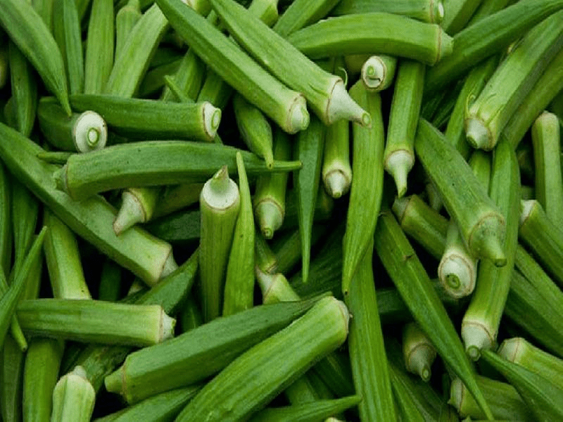 भिंडी की खेती Ladyfinger Farming