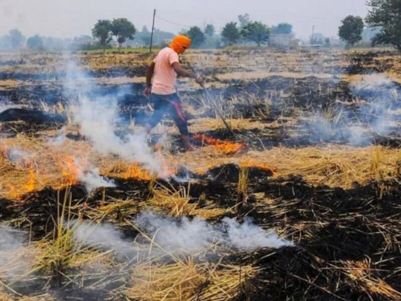 पराली parali burning