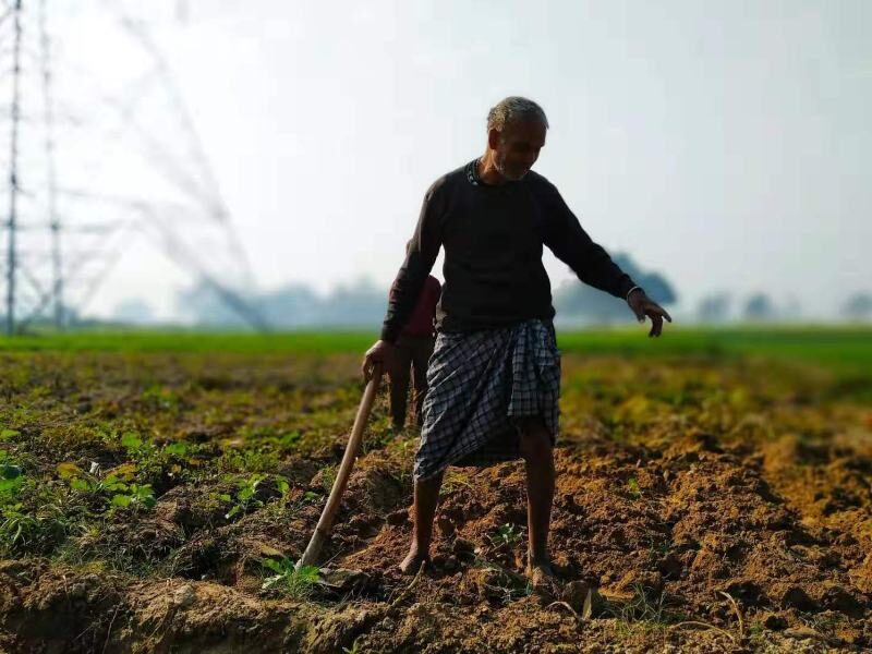 rajasthan govt stops indian farmer land auction