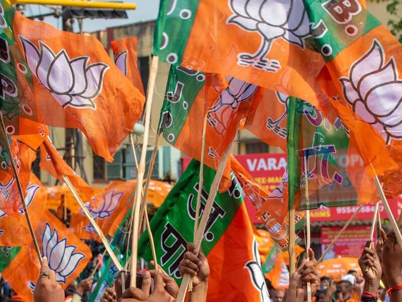 BJP flags