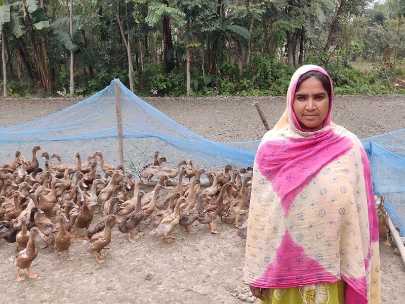 कोरोना ने छीना पुरुषों का रोजगार तो पश्चिम बंगाल की महिलाओं ने बत्तख पालन से घर संभाला