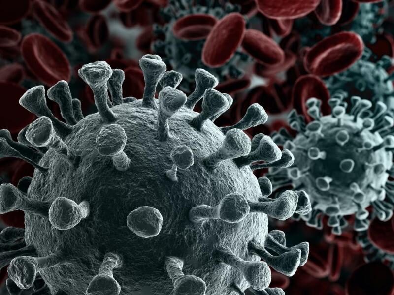 corona infection growth in india