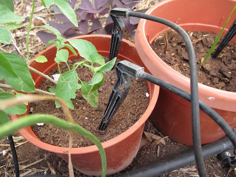 ड्रिप सिंचाई सिस्टम drip irrigation system