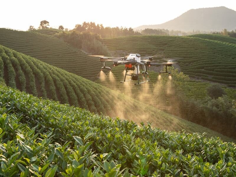 drone in farmers crops