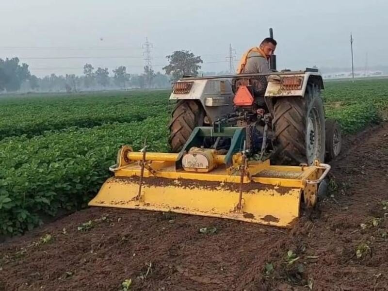 farmers planting onion in nirankari ground