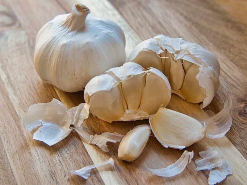 लहसुन garlic crops prices