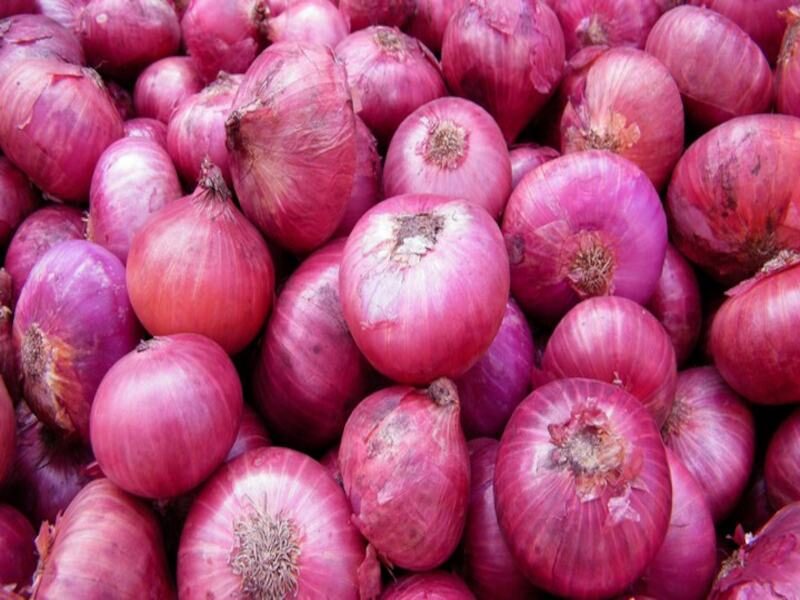 प्याज onion import