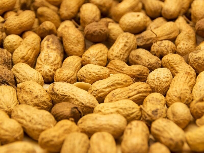 peanuts health benefits in hindi