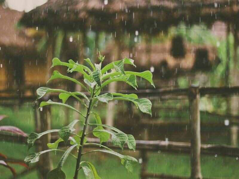 मौसम विभाग rain weather