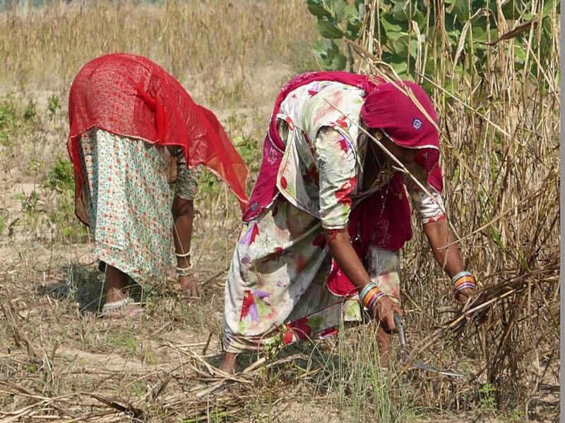 बजट राजस्थान rajasthan farmer women