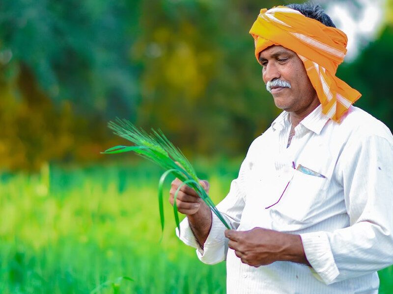 PMFBY : पांच साल में किसानों को मिले फसल नुकसान के 90 हजार करोड़ रुपये