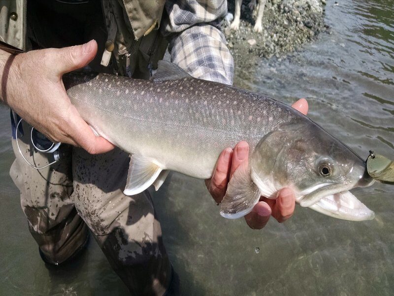 fish farming