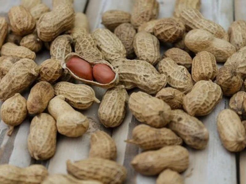 मूंगफली health benefits of peanuts