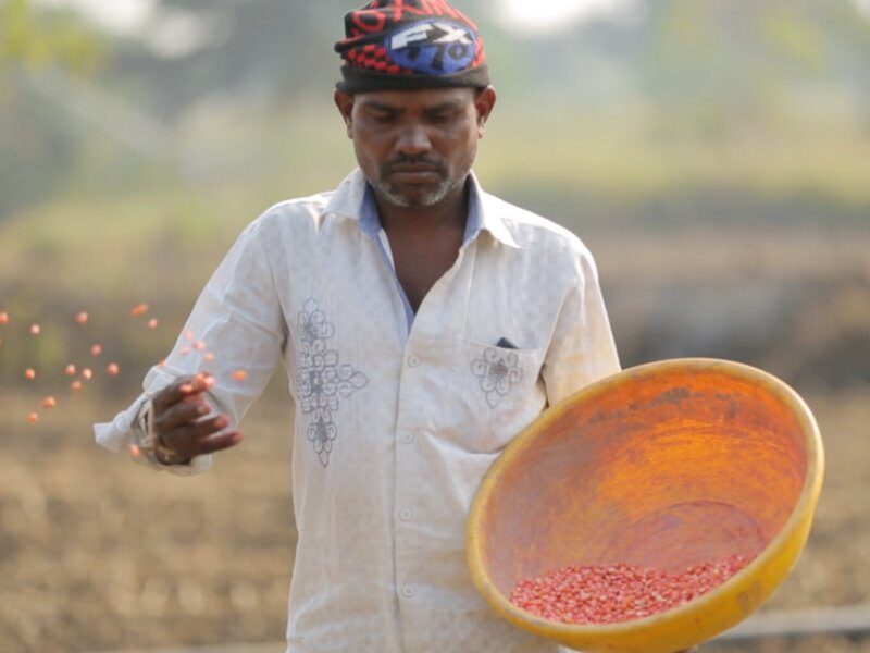Indian farmer doing organic farming benefits in hindi