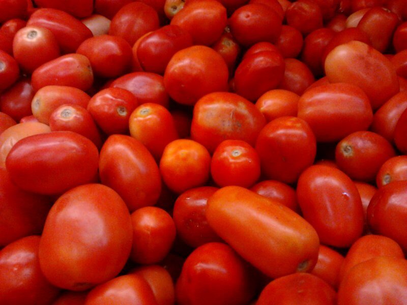 tomato sale