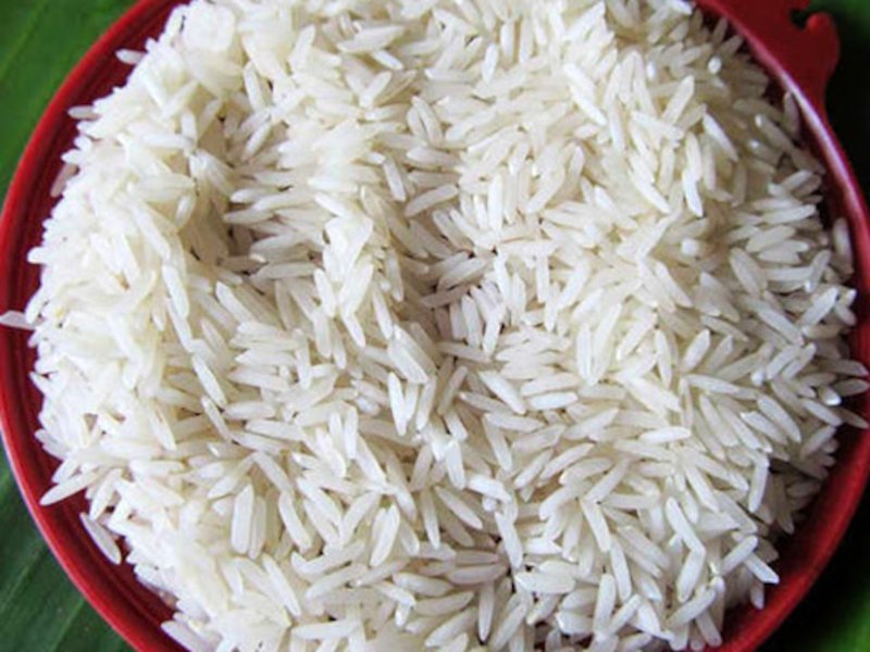 बासमती धान MP basmati rice