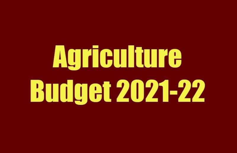 agriculture budget 2021