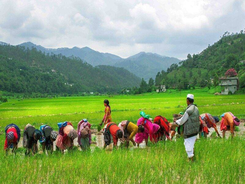 पारम्परिक और मिश्रित खेती