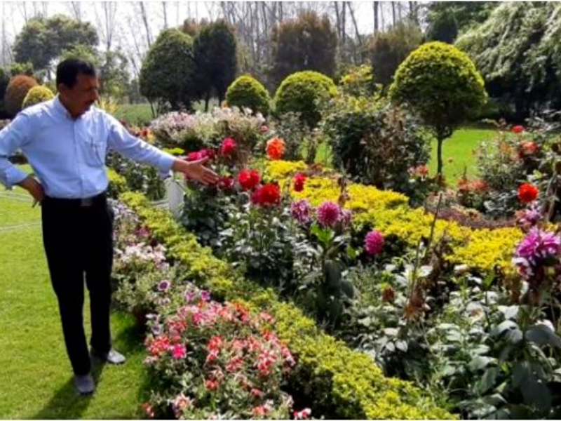 फूलों की खेती (flower cultivation)