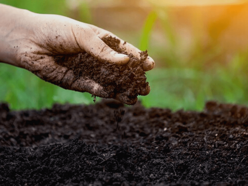 खेती से कमाई बढ़ाने में बेहद मददगार है मिट्टी की जाँच