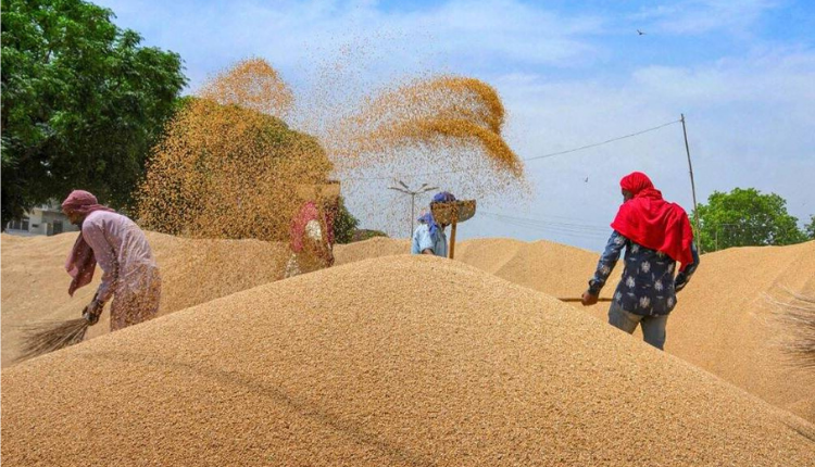 New rules For Uttar Pradesh farmers, 52 percent registered farmers sell wheat - Kisan Of India