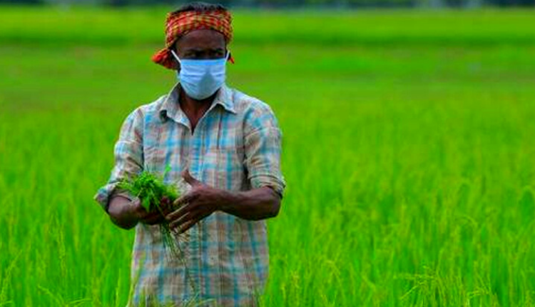 किसान सम्मान निधि के जल्द आने के आसार -Kisan of India