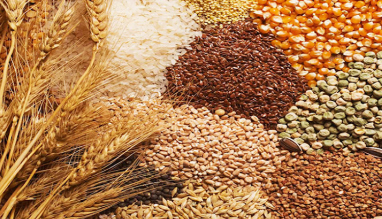 Record food grain production in 2021 in the country - Kisan Of India