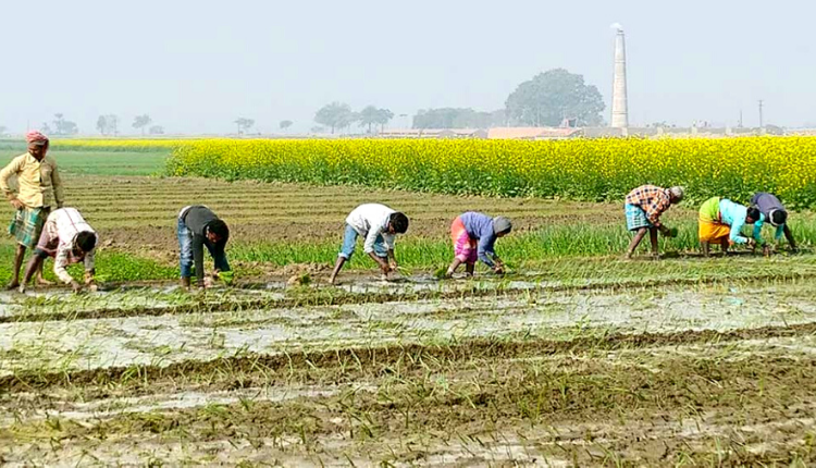 First Time PMKSNY to 7 Lakh Bengal Farmers - Kisan Of India