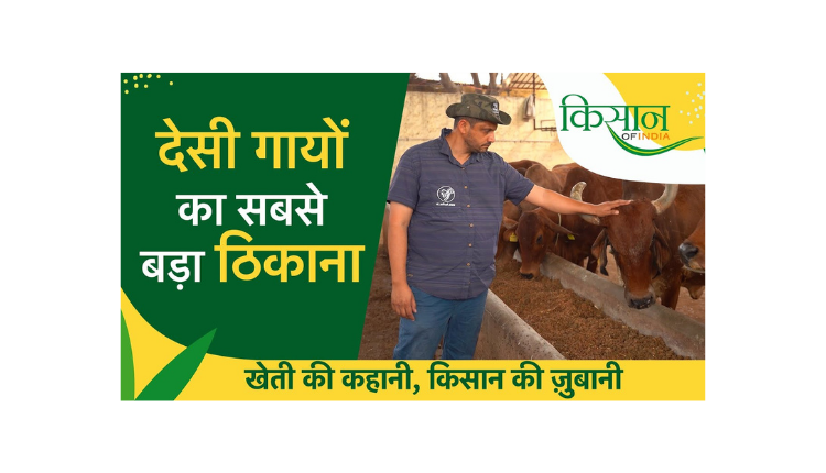 Hetha Dairy Farm Karnataka