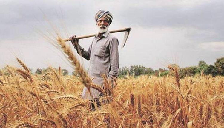 पंजाब में 2.8 लाख खेतीहर मज़दूरों और भूमिहीन किसानों का 590 करोड़ रुपये का कर्ज़ा माफ़ - Kisan Of India