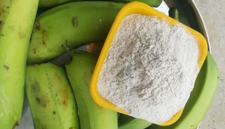 banana flour केले की खेती 