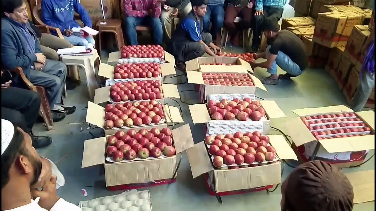himachal apple farmers