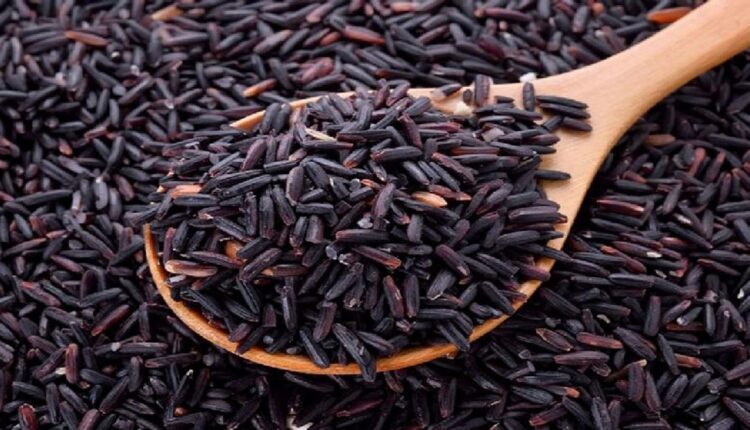 manipur black rice