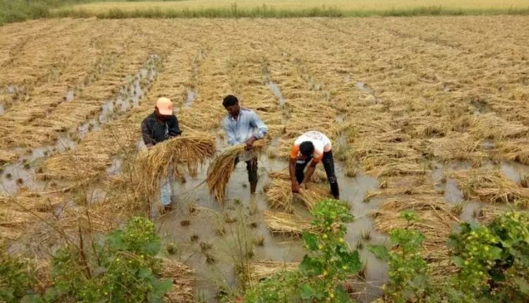 Mukhyamantri Kisan Sahay Yojana