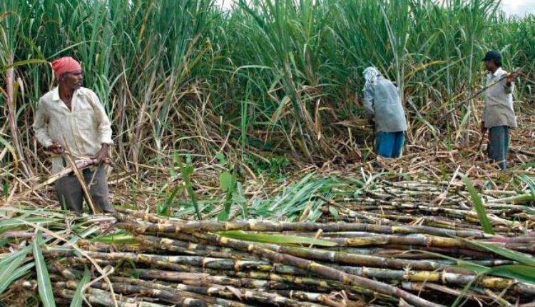 Fair and Remunerative Price ( FRP ) of sugarcane
