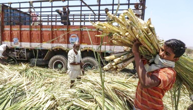 गन्ना किसान - sugarcane farmers pending dues ( गन्ना किसानों )