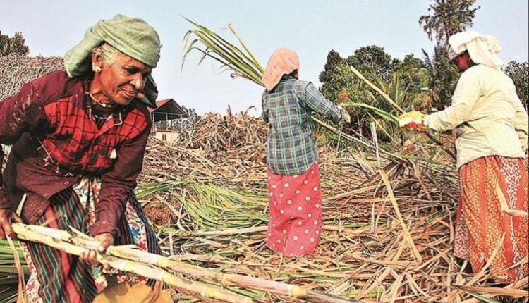 sugarcane farmers pending dues ( गन्ना किसानों ) 