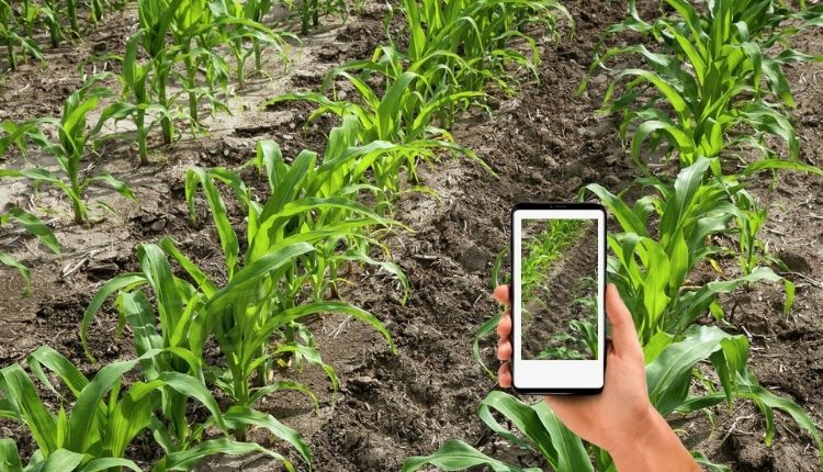 soil health smartphone technique ( मिट्टी की सेहत )